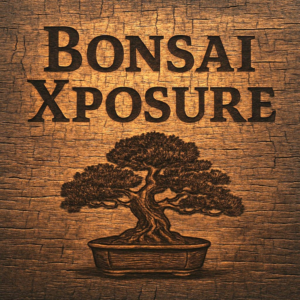 Apr. 30, 2026 - Bonsai Xposure Class Intro Class - Renton