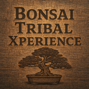 Corporate Team Building Bonsai Tribal Xperience